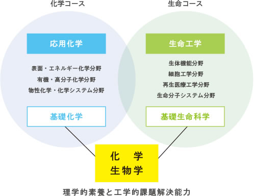 学科概念図