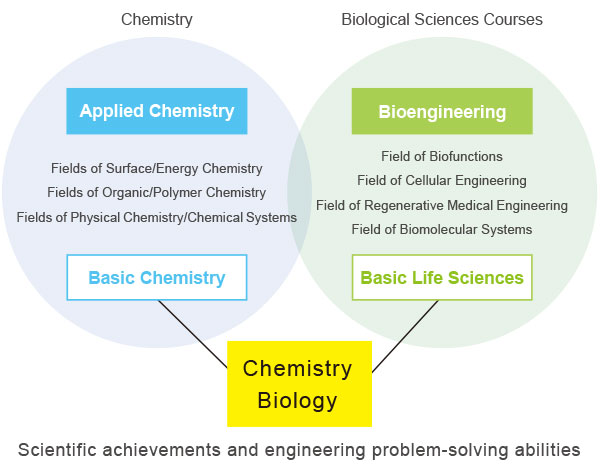 Organization Chart of the Department